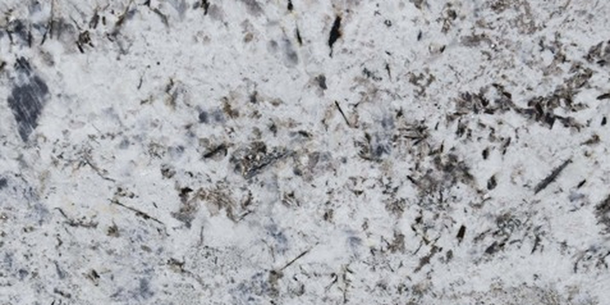 alaska blue flower granite exporter india