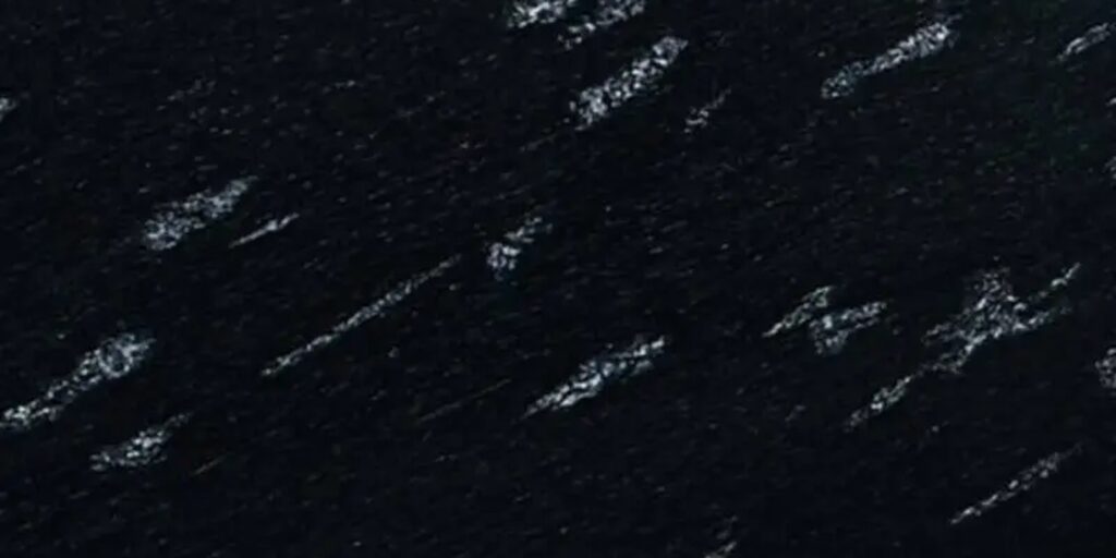 fish-black-granite-exporter-india