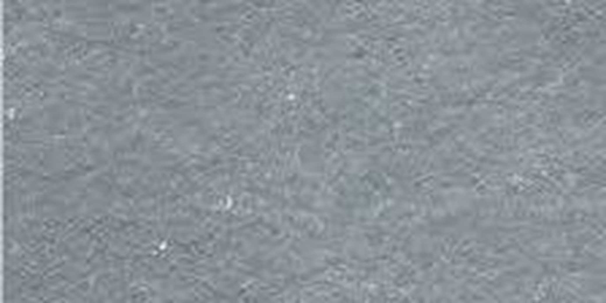 tandur blue limestone exporter india